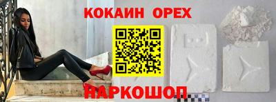 спиды Камышлов
