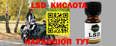 спайс Кандалакша