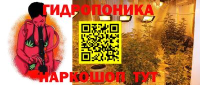 спайс Кандалакша